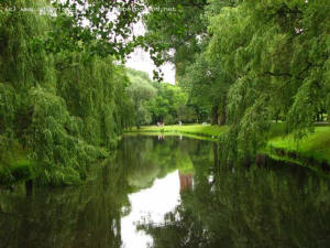 Park im. Henryka Sienkiewicza we Wocawku